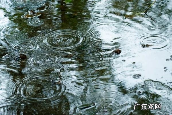 关于雨很有诗意的句子,下雨的有意境的短句子唯美