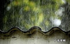 关于雨很有诗意的句子,下雨的有意境的短句子唯美