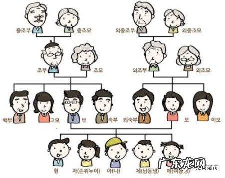 非直系亲属包括哪些人,非直系亲属包括哪些人员