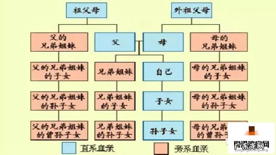 非直系亲属包括哪些人,非直系亲属包括哪些人员