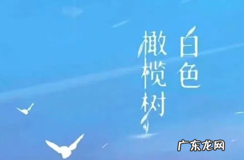 白色橄榄树东国是哪里,白色橄榄树的东国是哪里什么寺