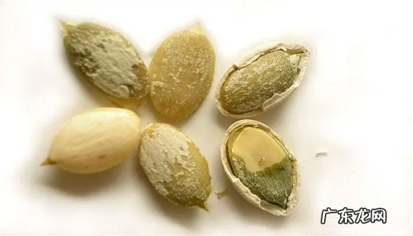 南瓜子热量高吗?,南瓜子的热量是多少