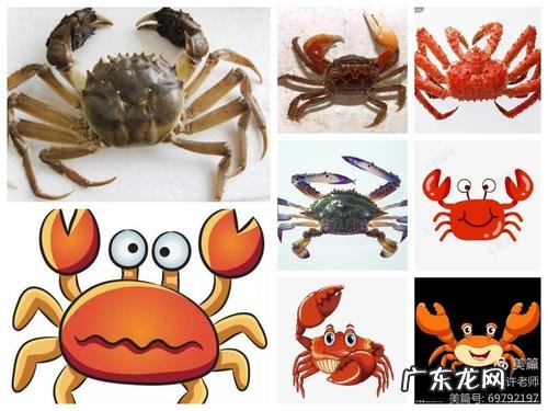 两只螃蟹的寓意是什么,两只螃蟹这个短文想告诉我们一个什么样的道理给短文续一个结尾点明寓 ...