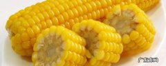 玉米蒸多久熟透 玉米蒸多久能熟透