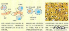 交流的几种方式,有效沟通的几种方法有哪些