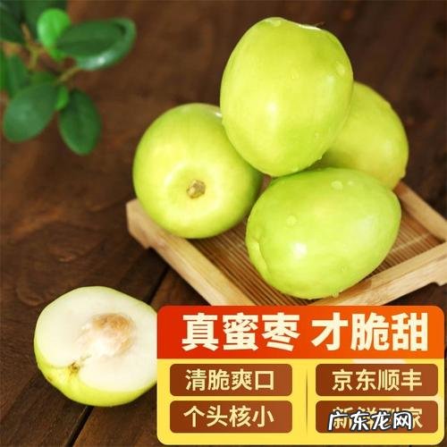 牛奶枣不甜怎么回事,牛奶枣好吃什么味道