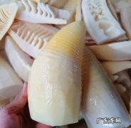 竹笋怎么挑选嫩的,如何挑选竹笋