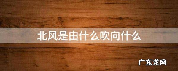 由北向南吹的风叫什么风,由北向南吹的风叫北风由东向西吹的
