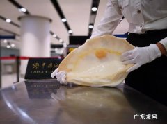 砗磲怎么读,砗磲怎么读