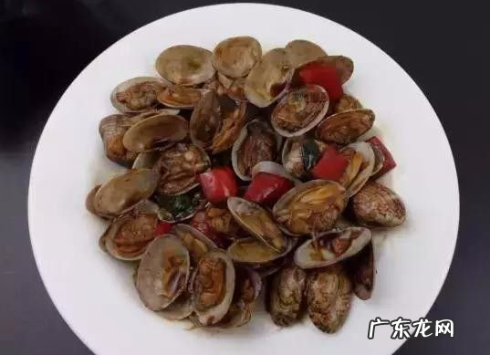 文蛤怎么清洗里面的沙子,文蛤怎么洗才能干净