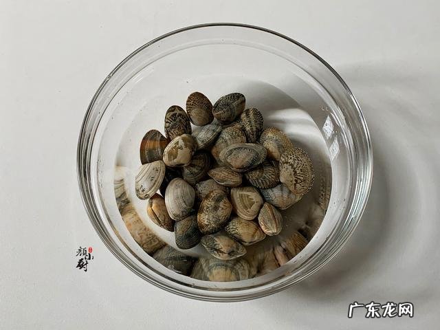 文蛤怎么清洗里面的沙子,文蛤怎么洗才能干净
