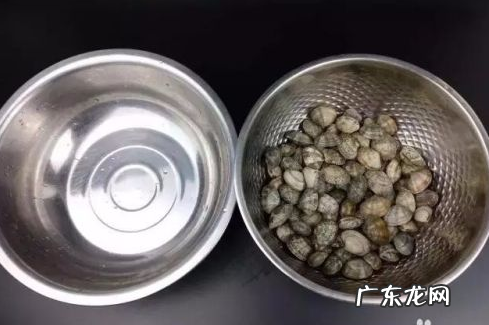 文蛤怎么清洗里面的沙子,文蛤怎么洗才能干净