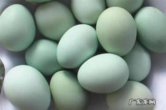 为什么有的鸡下绿壳蛋,鸡下的蛋为什么有些是绿色的