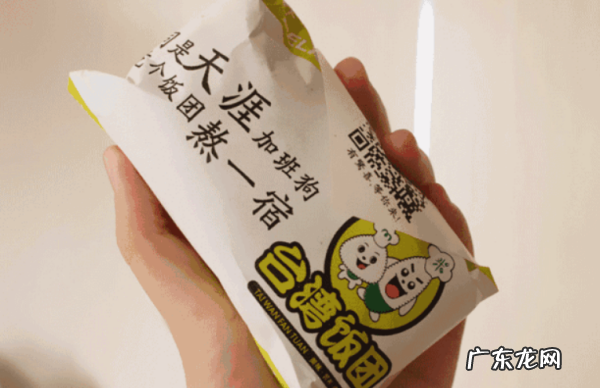 保护流浪狗的宣传语,救助流浪宠物流浪狗的社会意义是什么