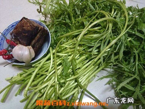 泥蒿怎么保存长久,泥蒿的叶子能不能吃什么功效