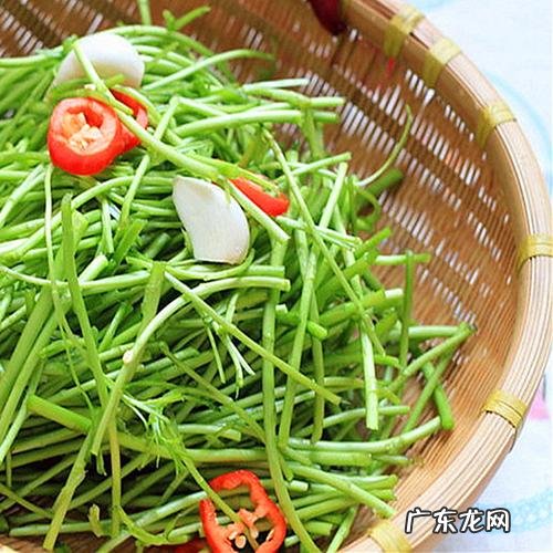 泥蒿怎么保存长久,泥蒿的叶子能不能吃什么功效