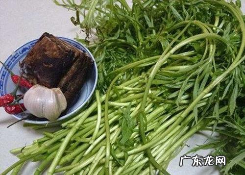 泥蒿怎么保存长久,泥蒿的叶子能不能吃什么功效