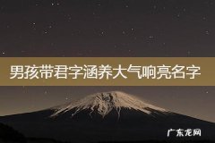 君博名字的寓意,楚辞男孩的名字响亮寓意好