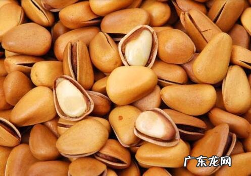 坚果有哪些功效与作用,坚果的功效与作用
