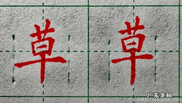 草字头的字大多和什么有关,草字头的字都和什么有关