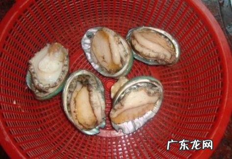 鲍鱼炖排骨汤怎么做,排骨炖鲍鱼汤要怎么炖该加什么