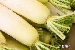 立春吃点啥好,立春要吃什么