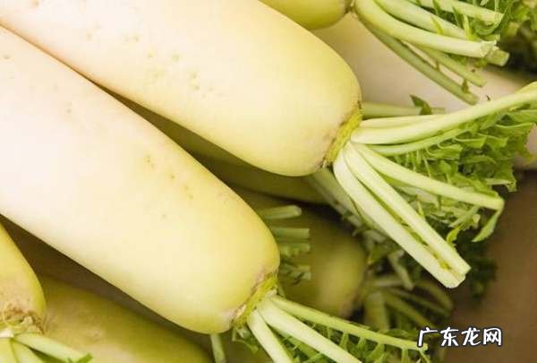 立春吃点啥好,立春要吃什么