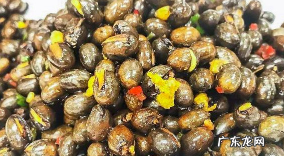 洋辣子的药用价值有哪些,刺蛾有哪些方面的用途和价值