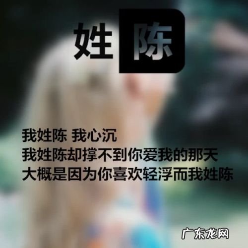 姓氏陈的由来,陈姓氏起源和来历