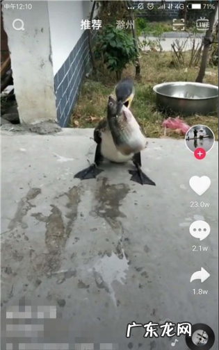 抖音如何旋转,抖音如何旋转的方向