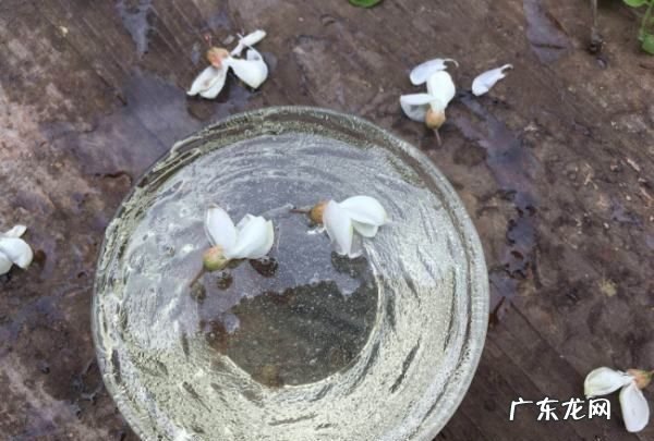 香蕉黑芝麻蜂蜜加在一起有什么用,香蕉加黑芝麻榨汁有什么功效