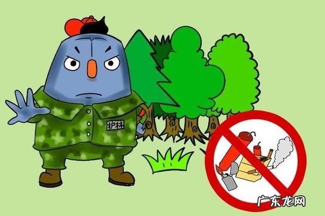 保护森林的重要性,森林防火重要性