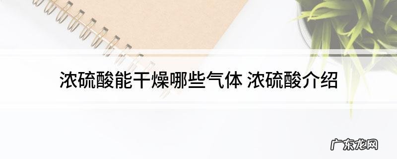 浓硫酸为什么不能干燥氨气,浓硫酸为什么不能干燥氨气