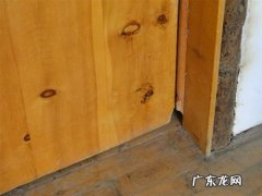 老鼠为什么可以进密封的柜子,为什么老鼠可以钻进很小的地方