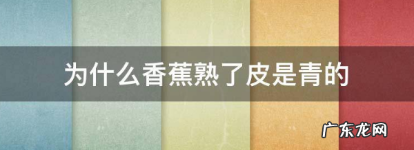 香蕉皮是青的为什么里面是熟,香蕉皮是绿色的里面肉是熟了而且挺甜的这种是催熟的