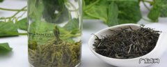如何自制干松针茶 如何自制干松针茶叶