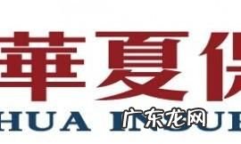 华夏常青树多倍20版返还本金,华夏常青树交20年后保费返还