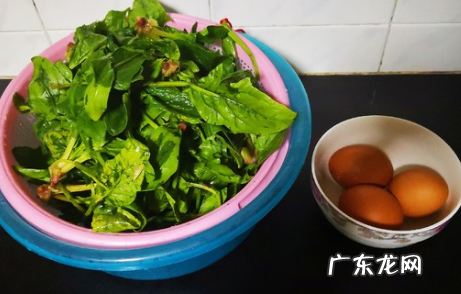 菠菜和鸡蛋怎么炒好吃,菠菜炒蛋怎么做好吃窍门