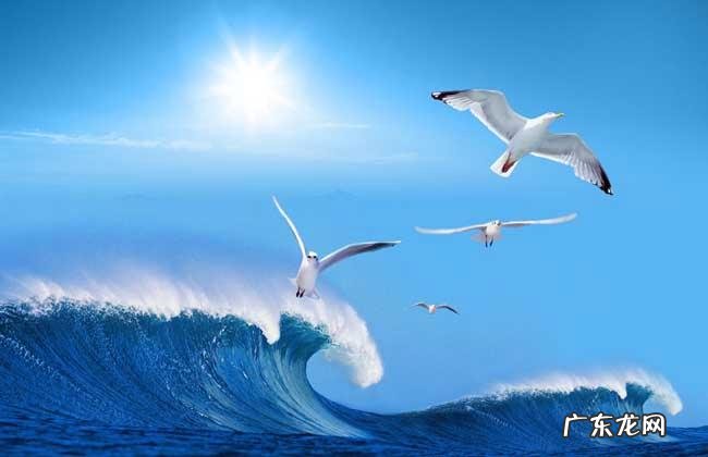 海的寓意和象征,大海表示什么意思