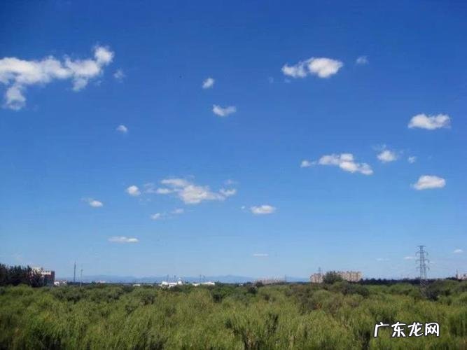 午日是什么日,每月的午日是哪一天