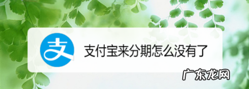 支付宝的来分期怎么找不到了,来分期消失了怎么还款