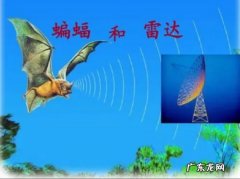 科学家通过什么发明了雷达,雷达是什么发明出来的