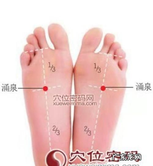 大蒜敷涌泉穴的功效,大蒜捣碎敷脚心治咳嗽