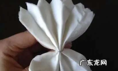 怎么样用餐巾纸折小白花,白花怎么用纸折