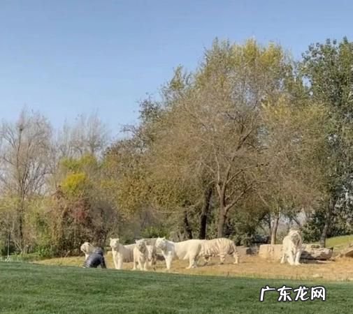 奇闻事件簿怎么听不了了,抖音极速版不听的书怎么下架了