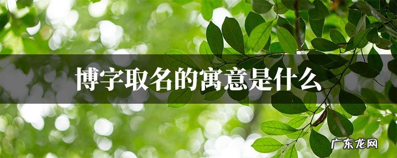 博睿这个名字的寓意,博睿这个名字的寓意