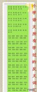 严格的反义词是什么,严格的反义词