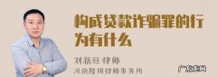 贷款诈骗罪的成立条件是怎么样的,贷款诈骗罪的构成要件