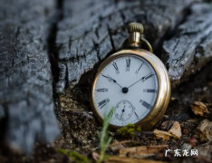 珍惜时间名言警句,珍惜时间的名言警句