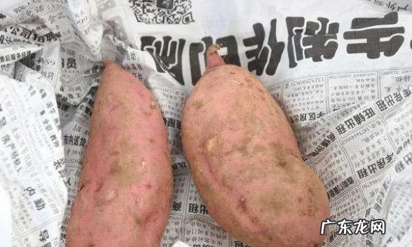 楼房红薯储藏新方法,住楼房保存红薯的诀窍越放越甜